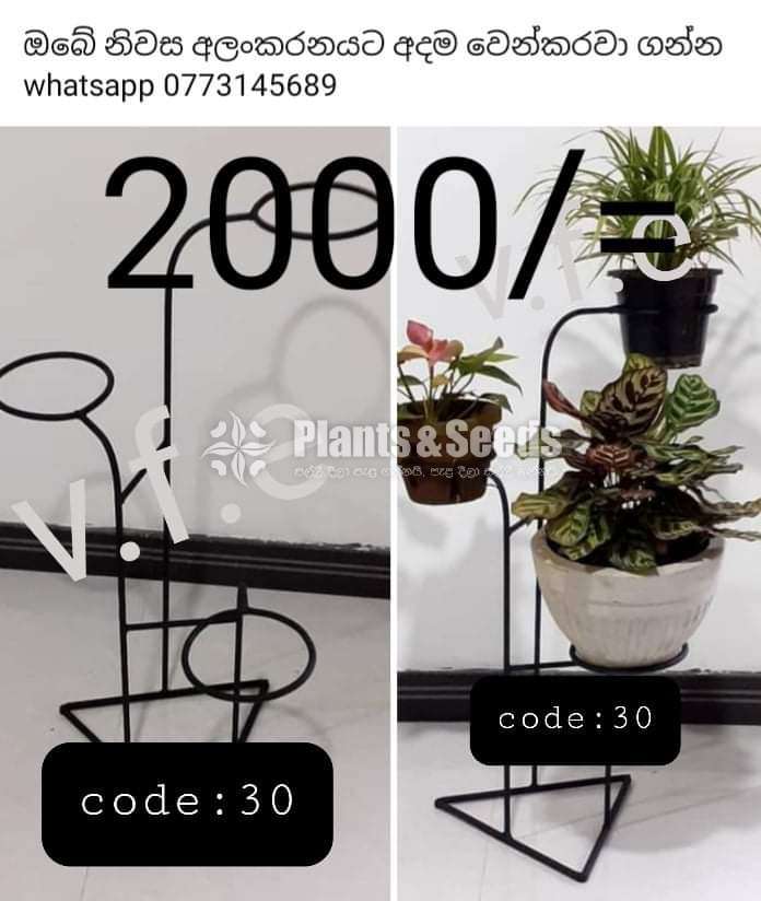 Plant Racks