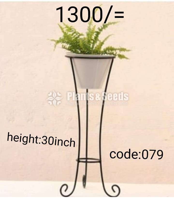Plant Racks