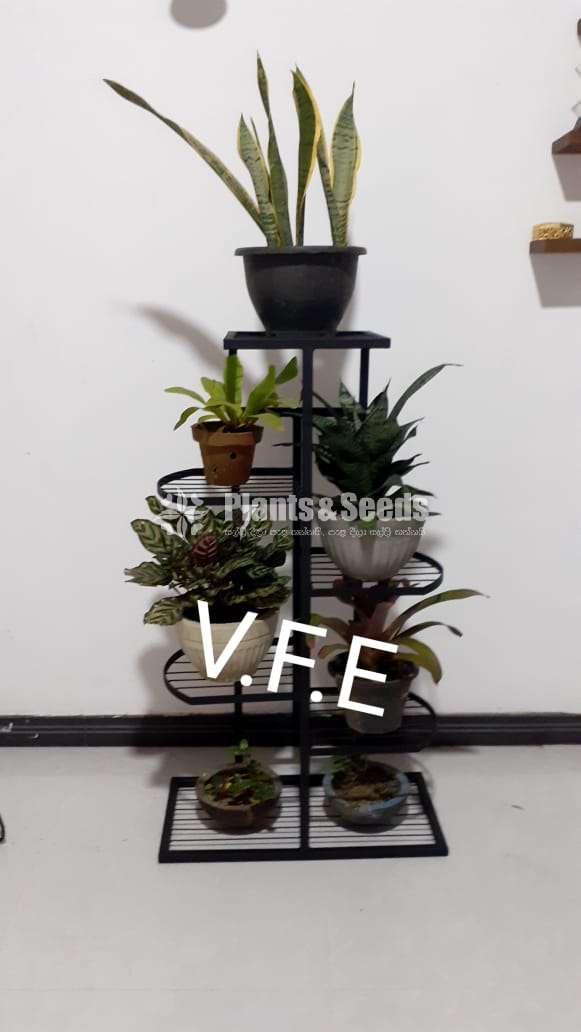Plant Rack