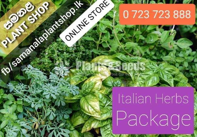 ITALIAN HERBS PACKAGE