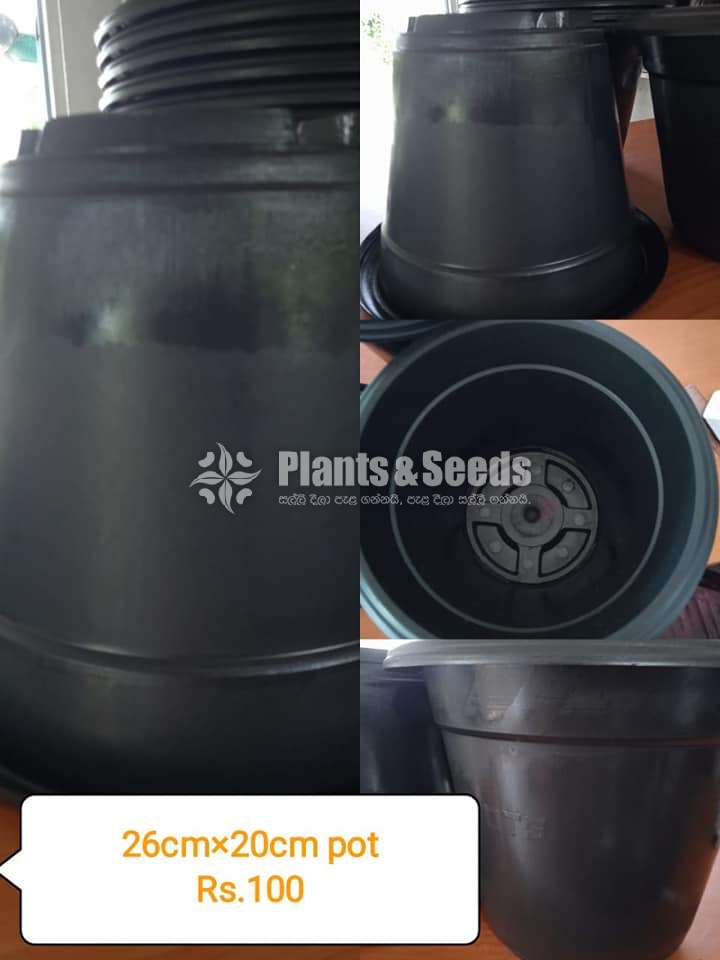 Plastic Pots (ප්ලාස්ටික් පොට්.)