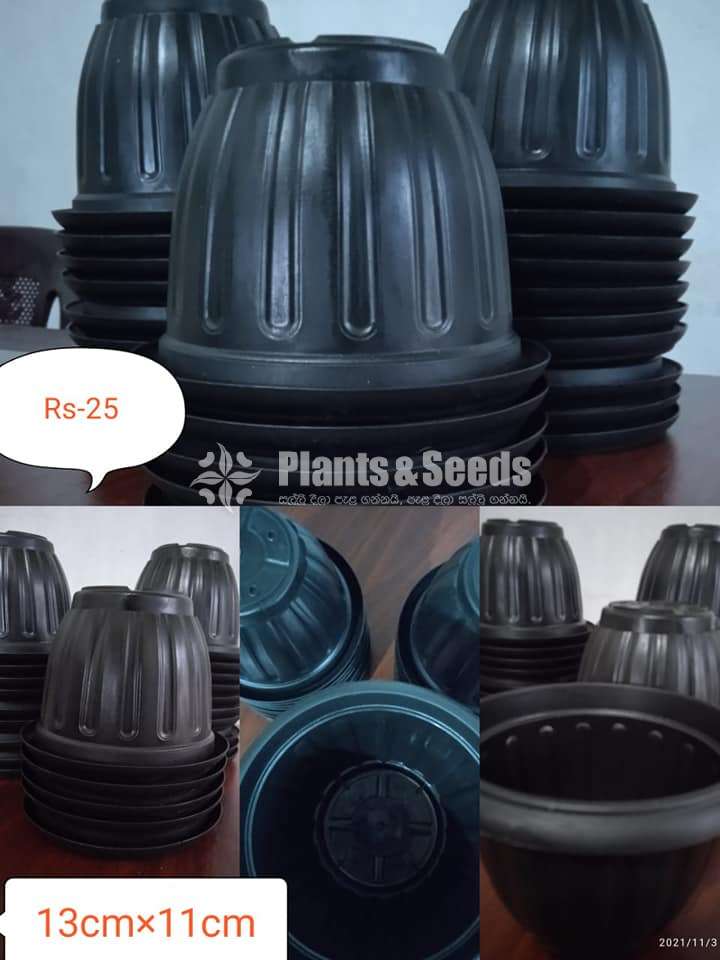 Plastic Pots (ප්ලාස්ටික් පොට්.)