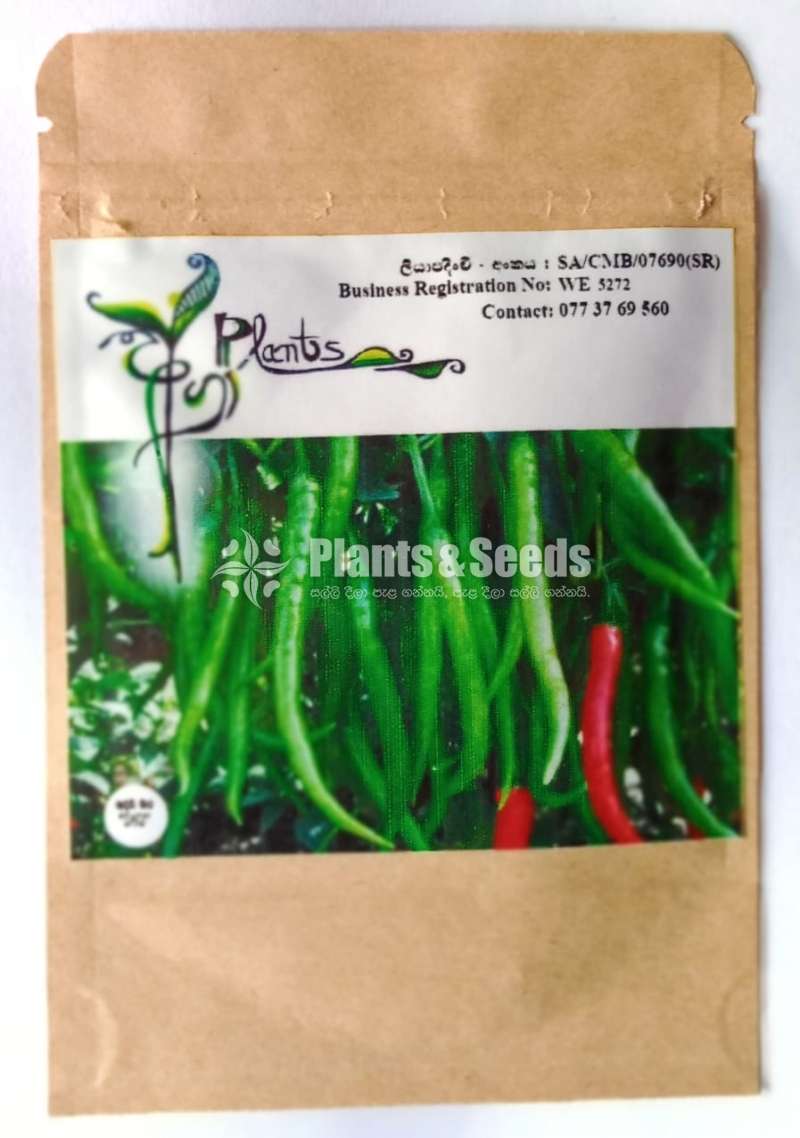 MICH HY1 Seeds (මිරිස් බීජ)