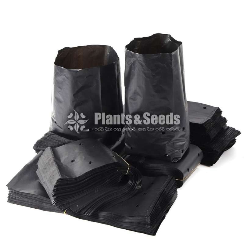 පොලීතින් කවර  ( Grow Bags )
