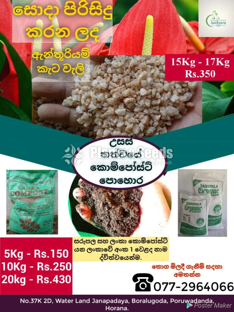 Keta wali (අන්තුරියම් කැට වැලි )