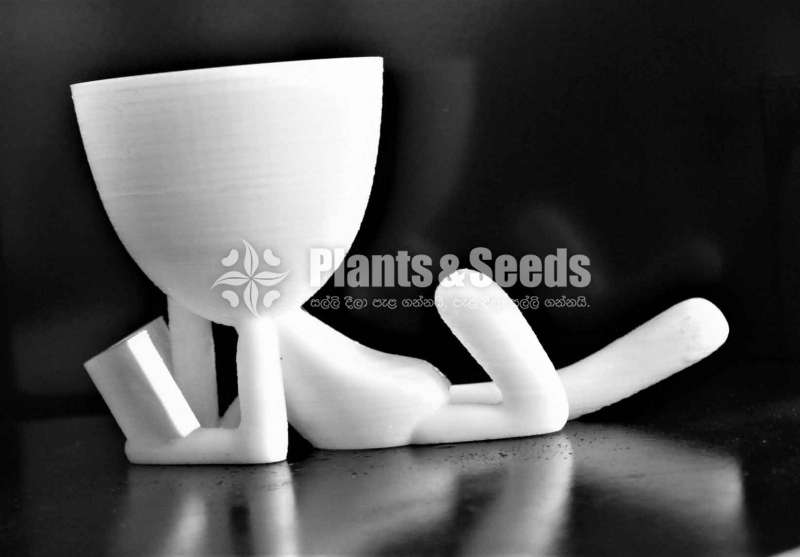 Reading Book, succulent pot, Vase for Home Office Decor, 