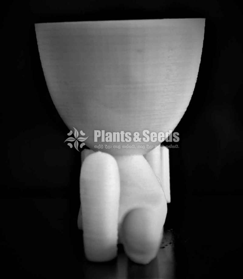 Reading Book, succulent pot, Vase for Home Office Decor, 