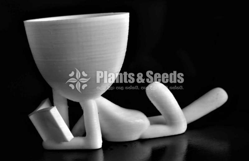 Reading Book, succulent pot, Vase for Home Office Decor, 