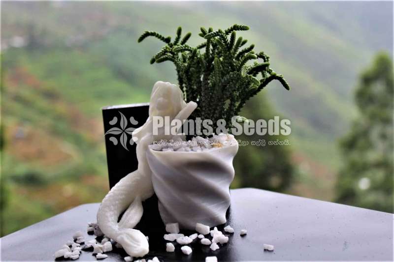 mermaid Flower Pot (Without Plant)