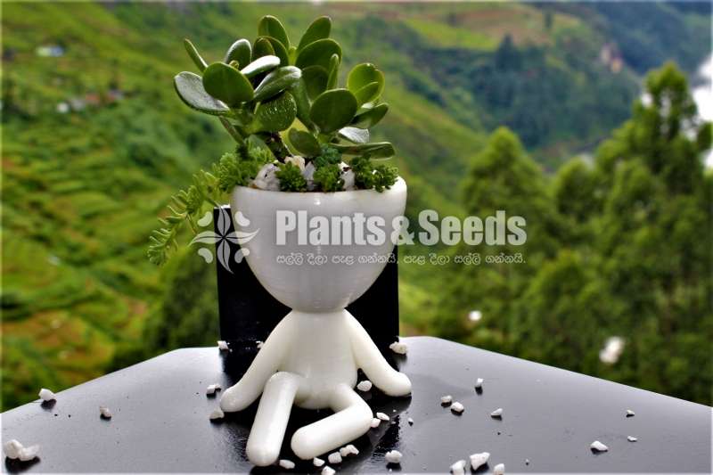 Stylish boy Flower Pot