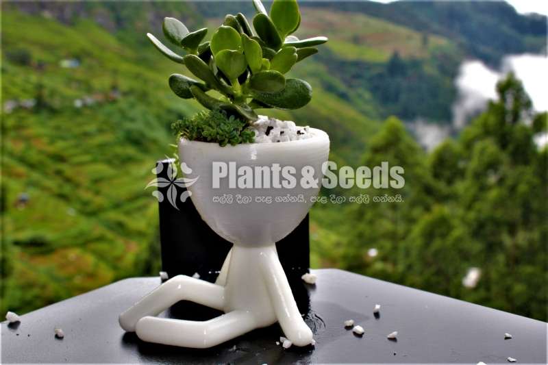 Stylish boy Flower Pot