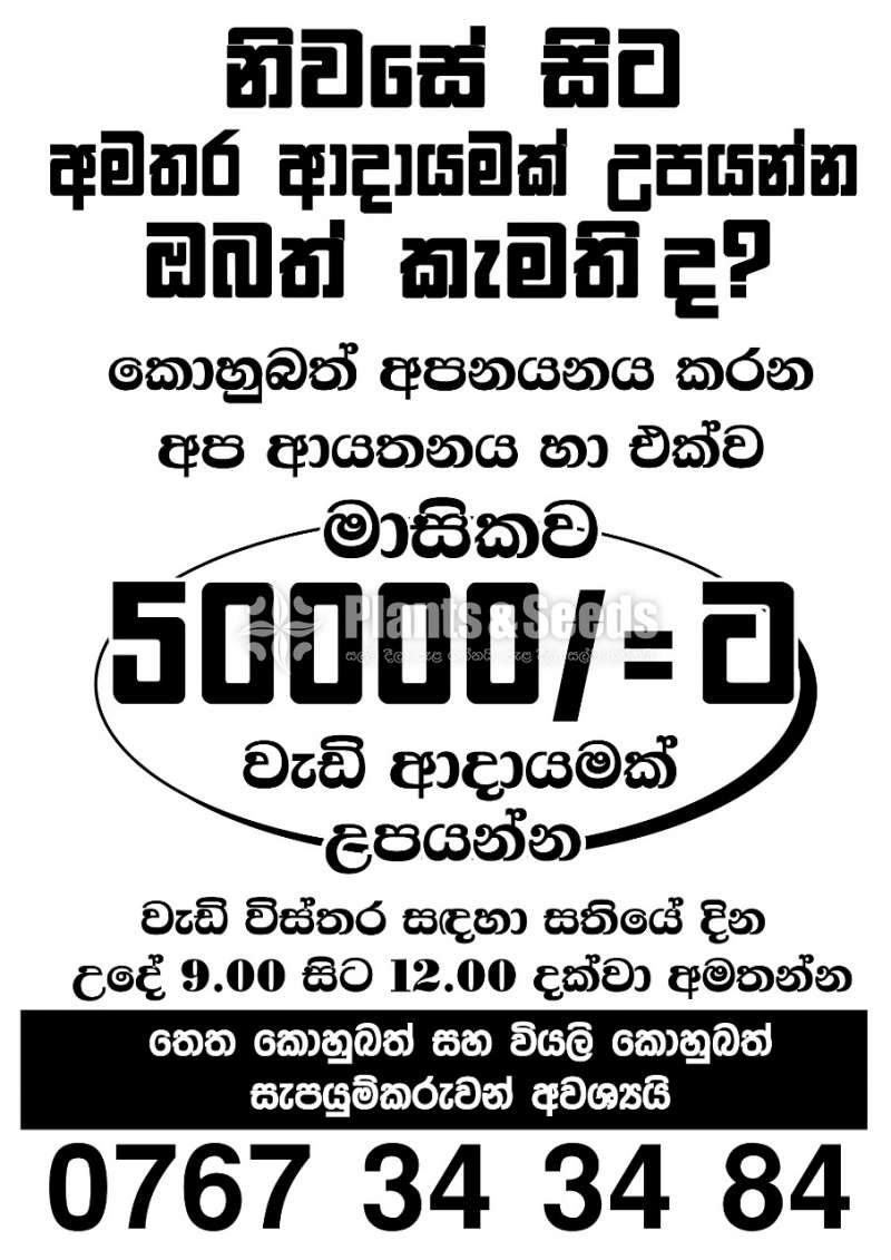 Kohubath(කොහුබත් සැපයුම්කරුවන් )