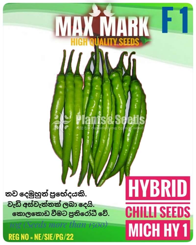 Chilli seeds Mich hy1 Miris  Gardening Agriculture මිරිස් 
