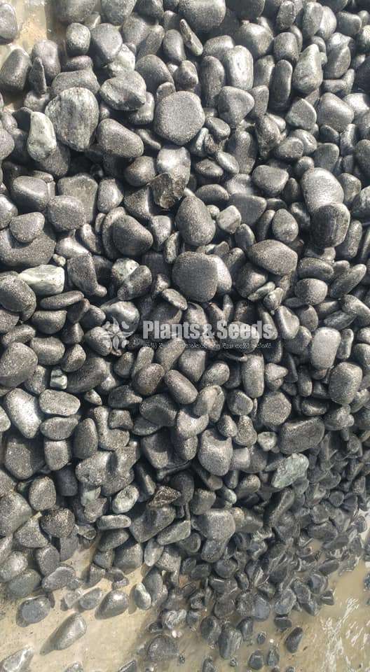Fancy Stones (Pebbles)