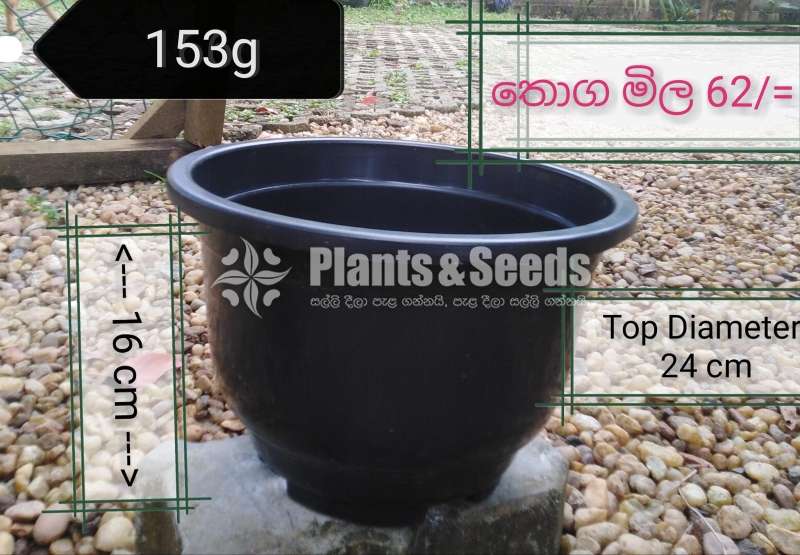 ප්ලාස්ටික් මල් පෝච්චි