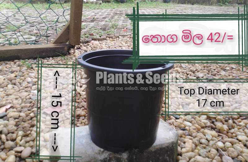 ප්ලාස්ටික් මල් පෝච්චි