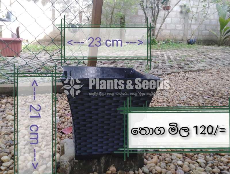 ප්ලාස්ටික් මල් පෝච්චි