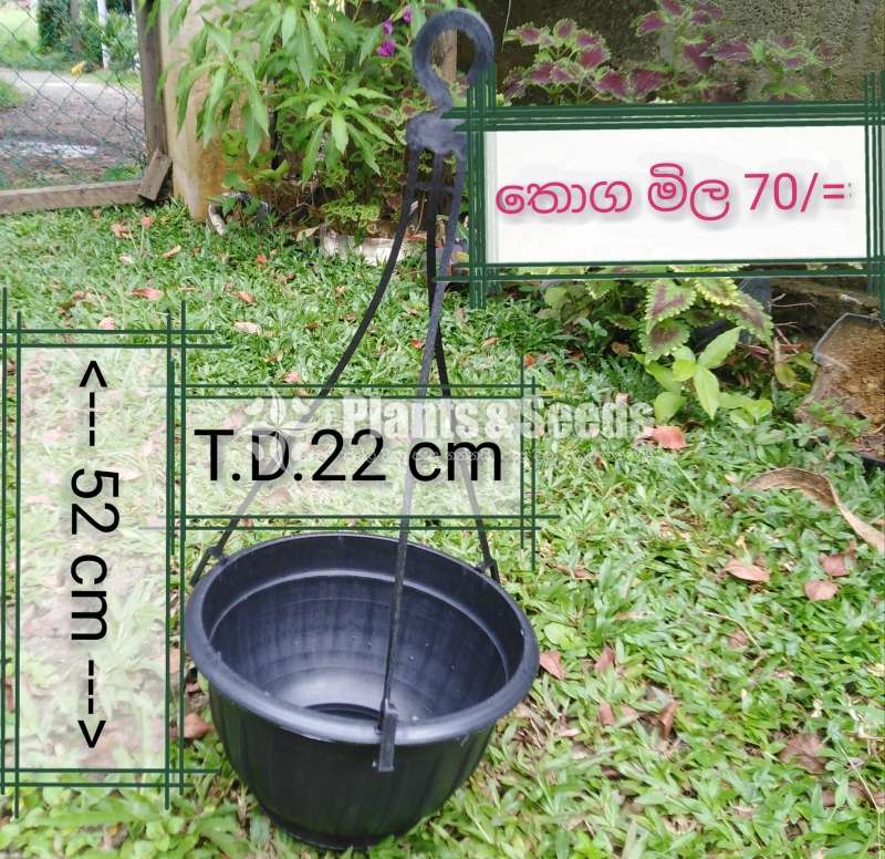 ප්ලාස්ටික් මල් පෝච්චි