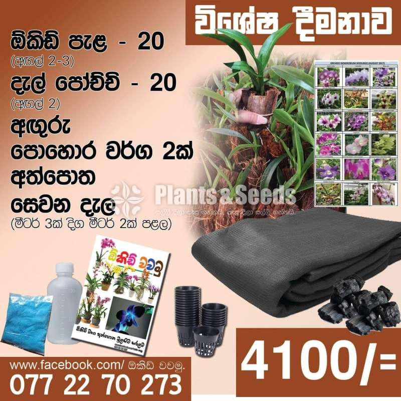 Orchid Package