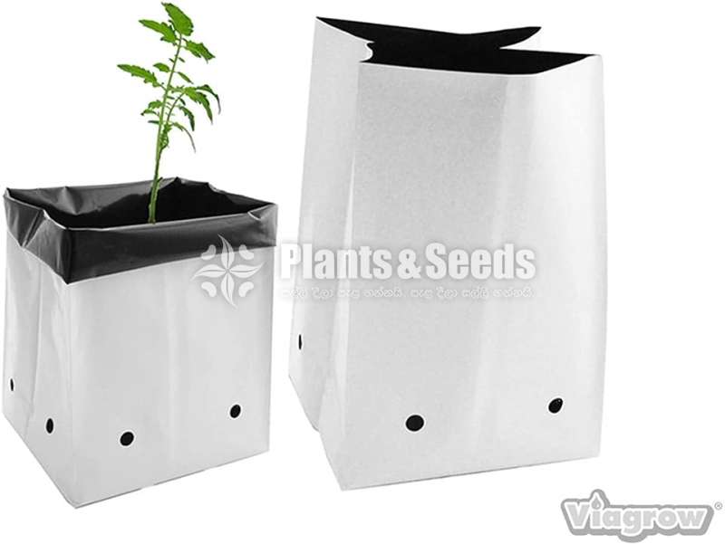 UV Grow Bags