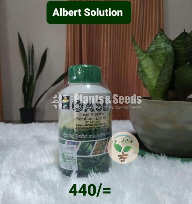 Albert Solution 