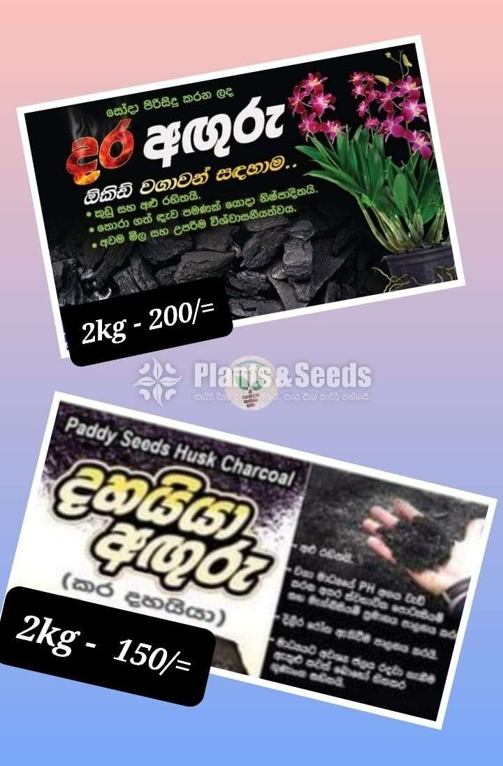 Dhayya Aguru ,Dara Aguru ( දහය්යා අගුරු )