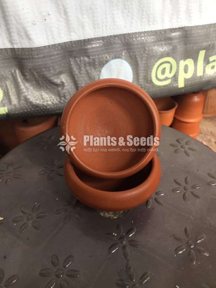  Clay pots