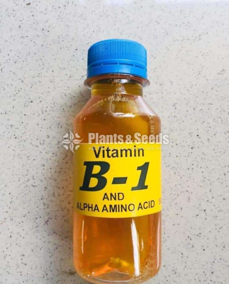 B1 vitamin