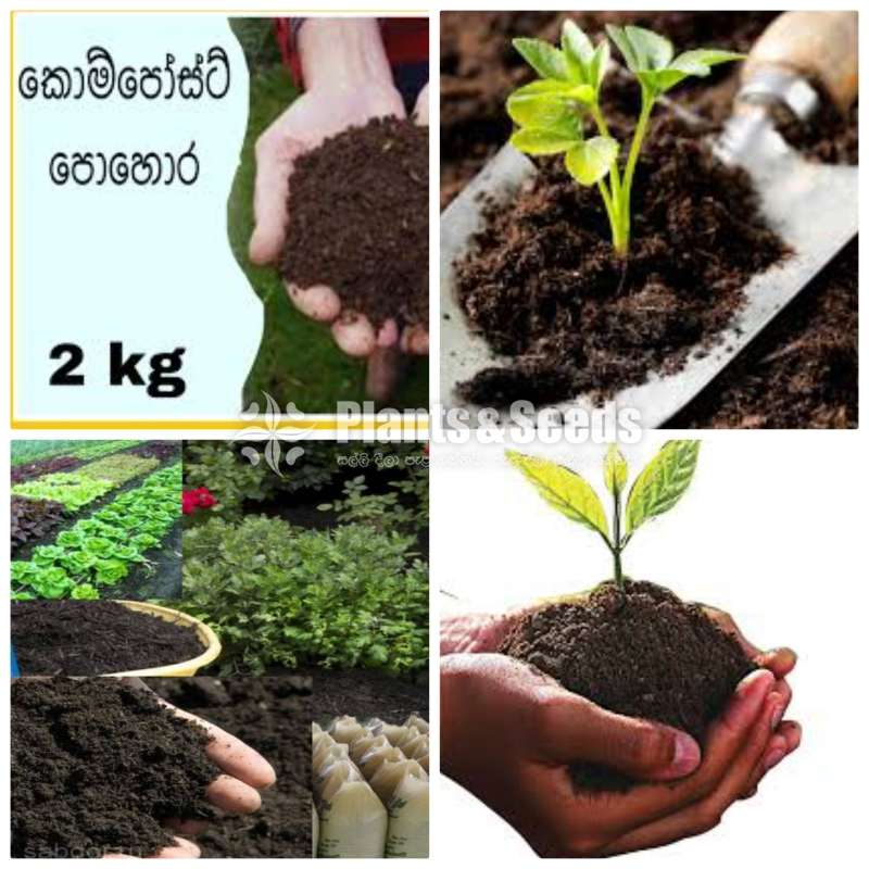 【Nutritious Coconut Products】