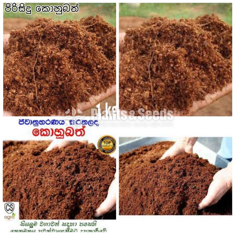 【Nutritious Coconut Products】