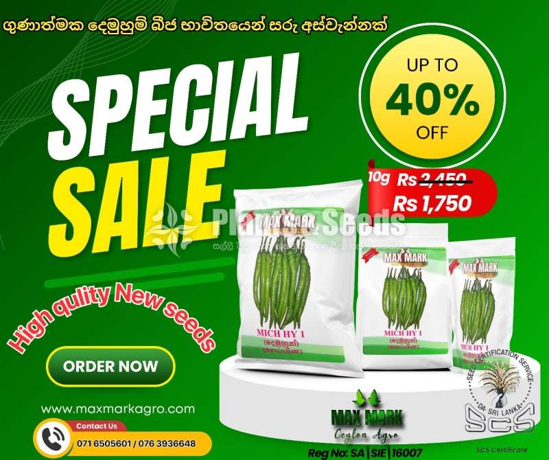 Chilli Seeds Mich hy1 Miris Hybrid 5g