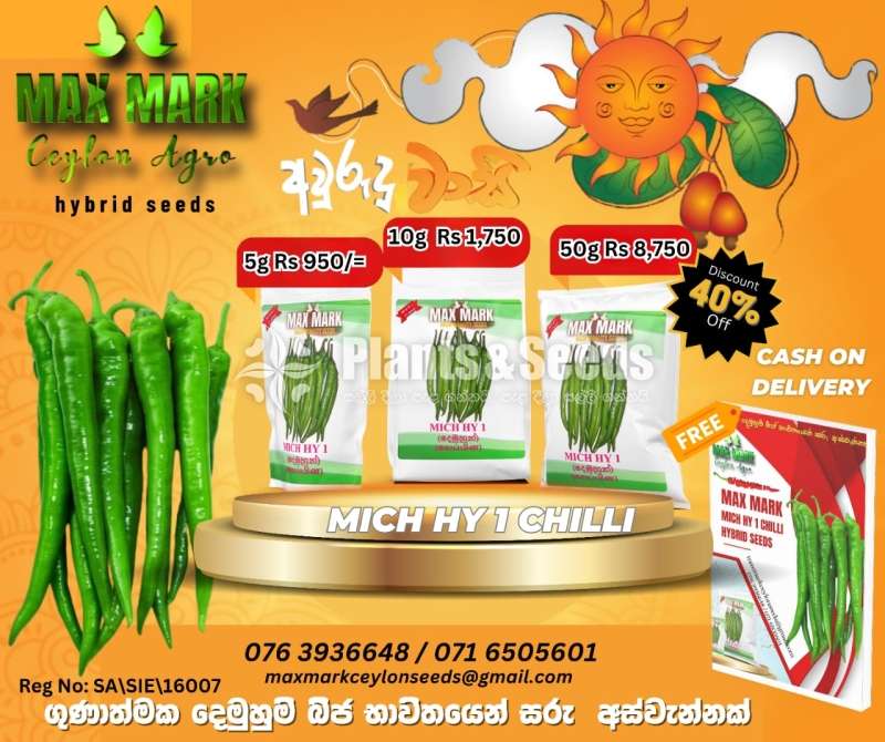 Chilli Seeds Mich hy1 Miris Hybrid 10g