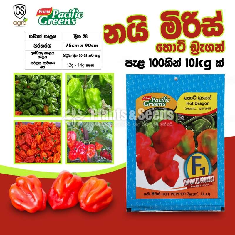 Hybrid Pepper Hot Dragon Seeds නයි මිර්ස් බීජ 0.25g 