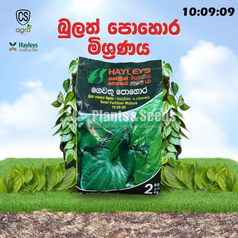 Hayleys Betel Fertilizer Mixture 10:09:09 2kg Home Gardening