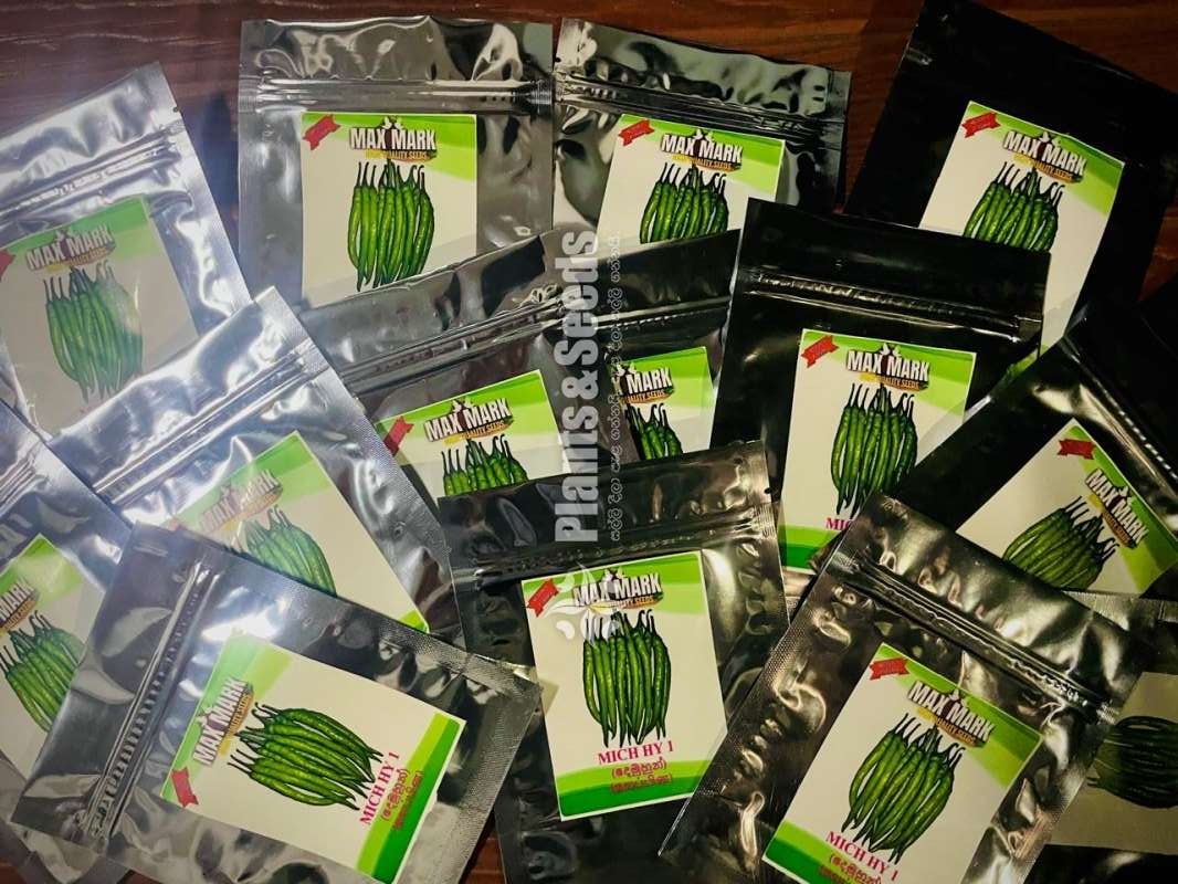 Chilli Seeds Mich hy1 Miris Hybrid 5g