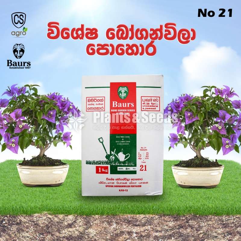 Baurs Bougainvillea Fertilizer බෝගන්විලා පොහොර