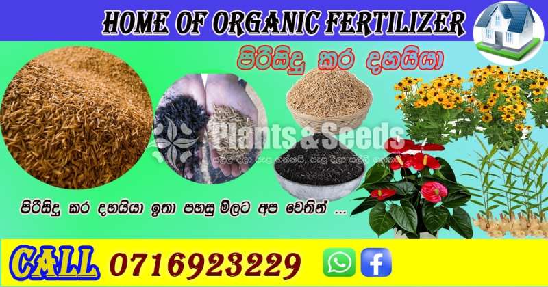 පිරිසිදු කර 