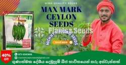 Chilli Seeds Mich hy1 Miris Hybrid 10g