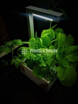 Table Top Hydroponic unit