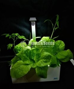 Table Top Hydroponic unit