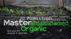 Organic Soil