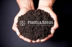Organic Soil