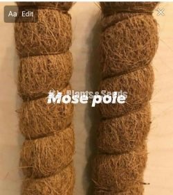Coir sticks and Mose pole
