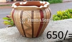 Clay Pots Collection