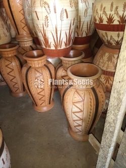 Clay Pots Collection