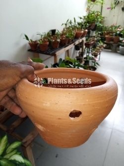 Clay Pots Collection