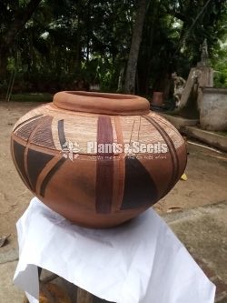 Clay Pots Collection