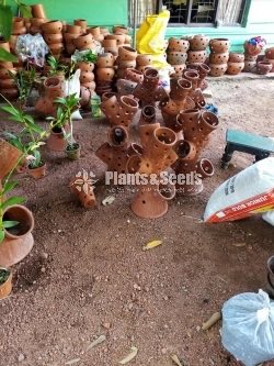 Clay Pots Collection