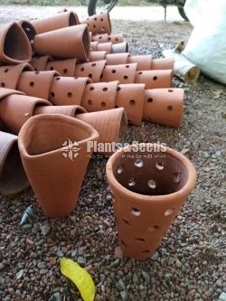 Clay Pots Collection