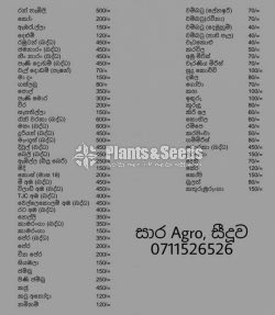 Fruit Plants 